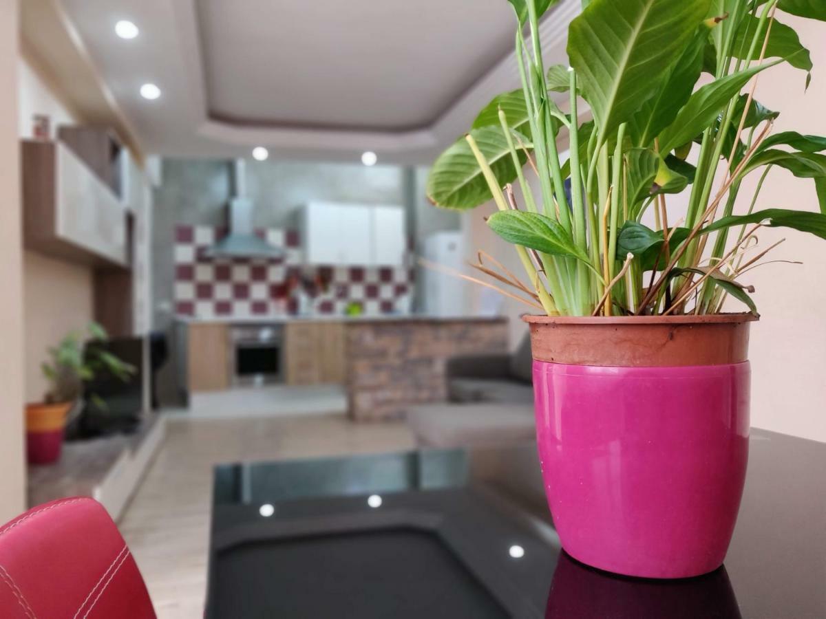 Cactus Los Cristianos Villa Los Cristianos  Eksteriør bilde